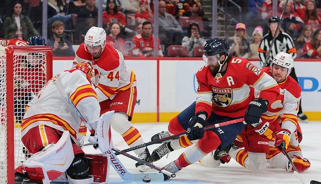 Florida panthers