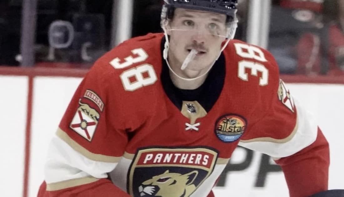 Florida panthers