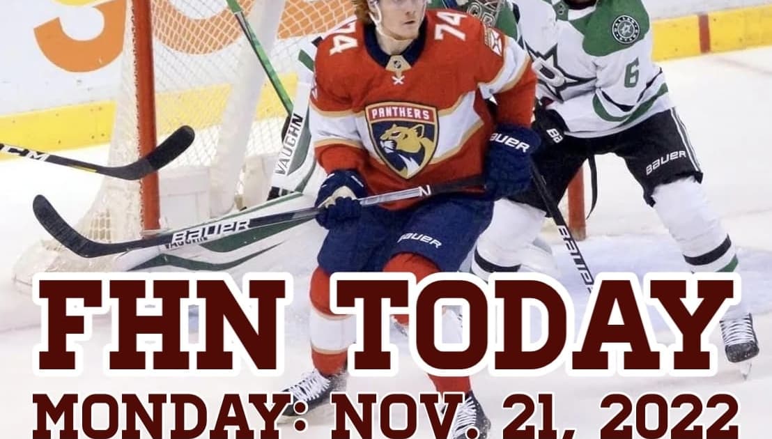 Florida panthers