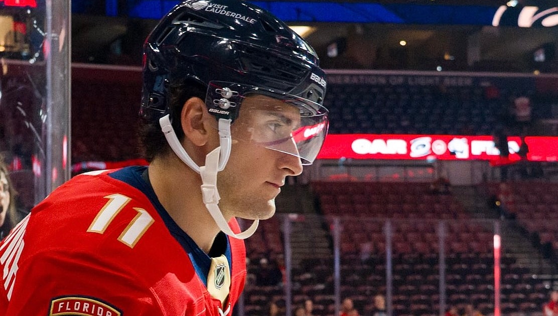 Florida panthers