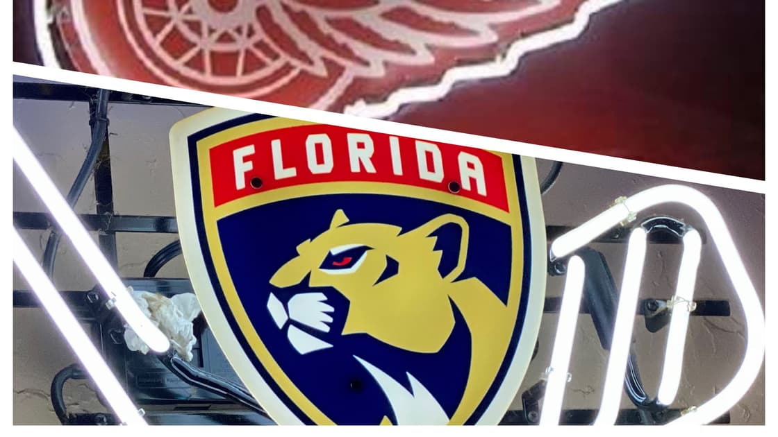 Panthers Wings Detroit Florida
