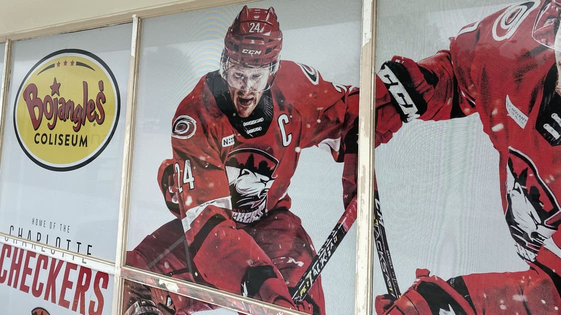 Charlotte AHL opt out