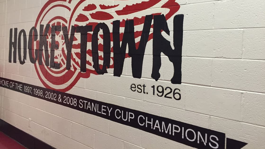 Panthers Detroit Florida Wings