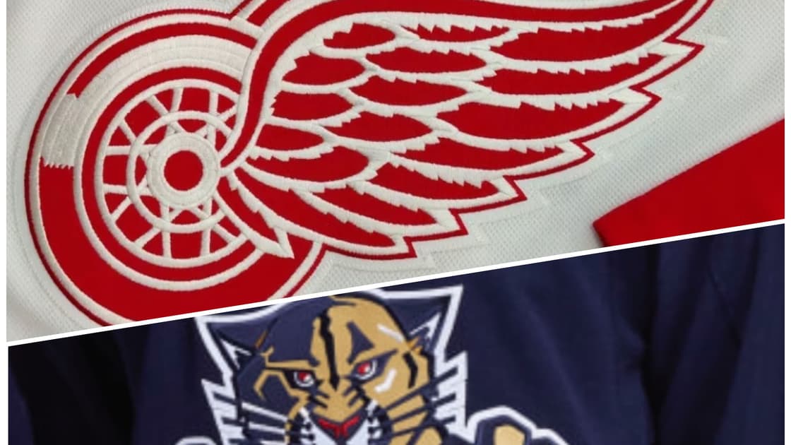 Wings Panthers Detroit Florida