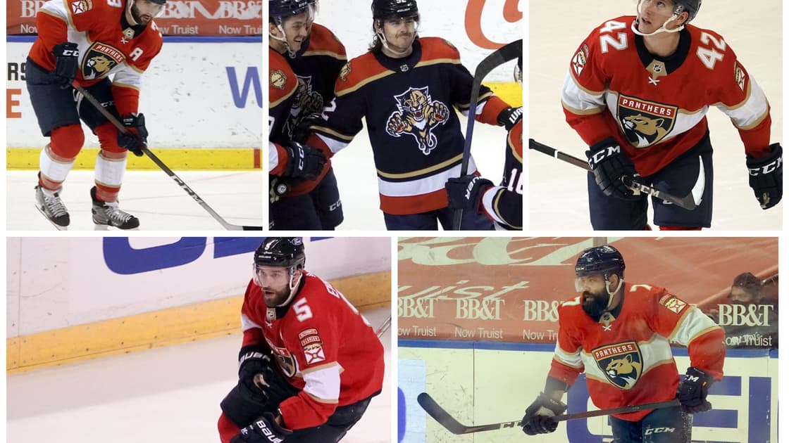 Florida report cards Panthers
