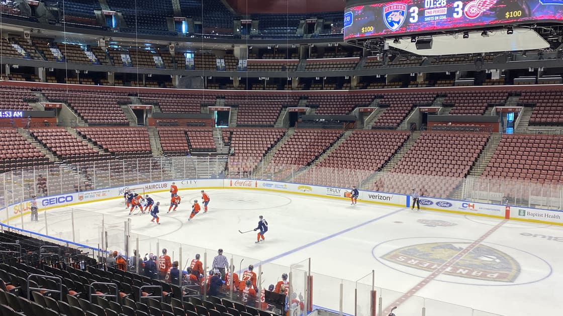 Scrimmage florida panthers