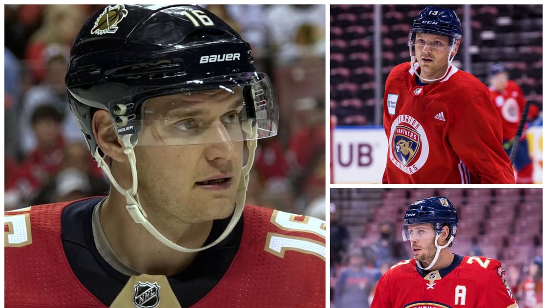 Florida panthers top line