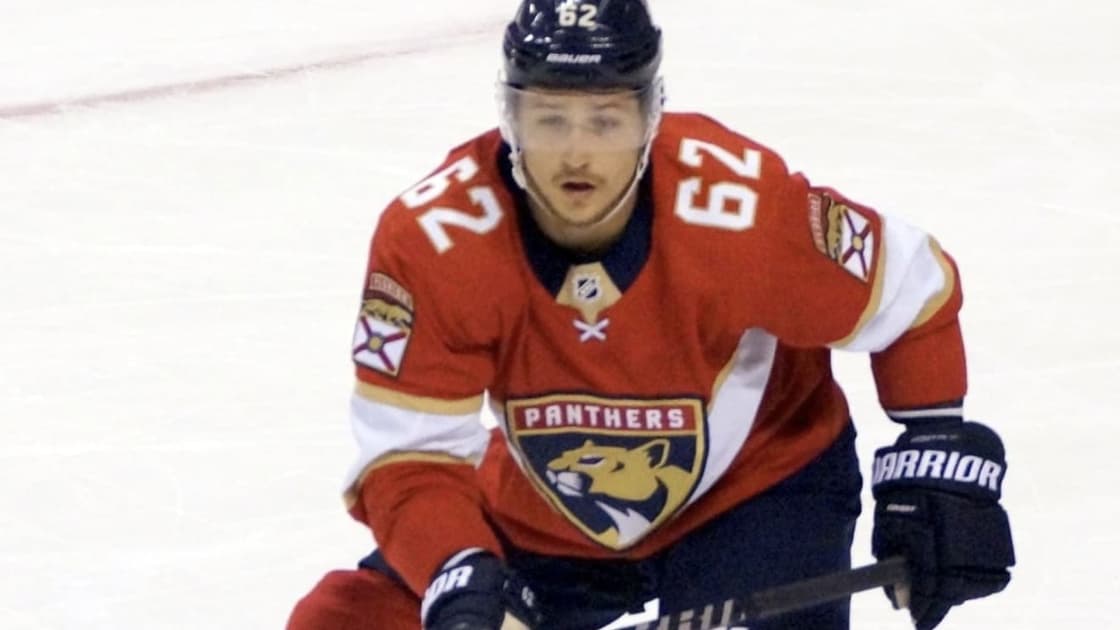 Florida Panthers montour
