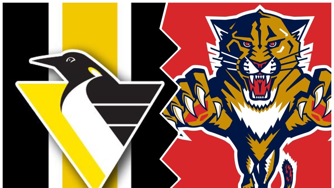 Penguins panthers
