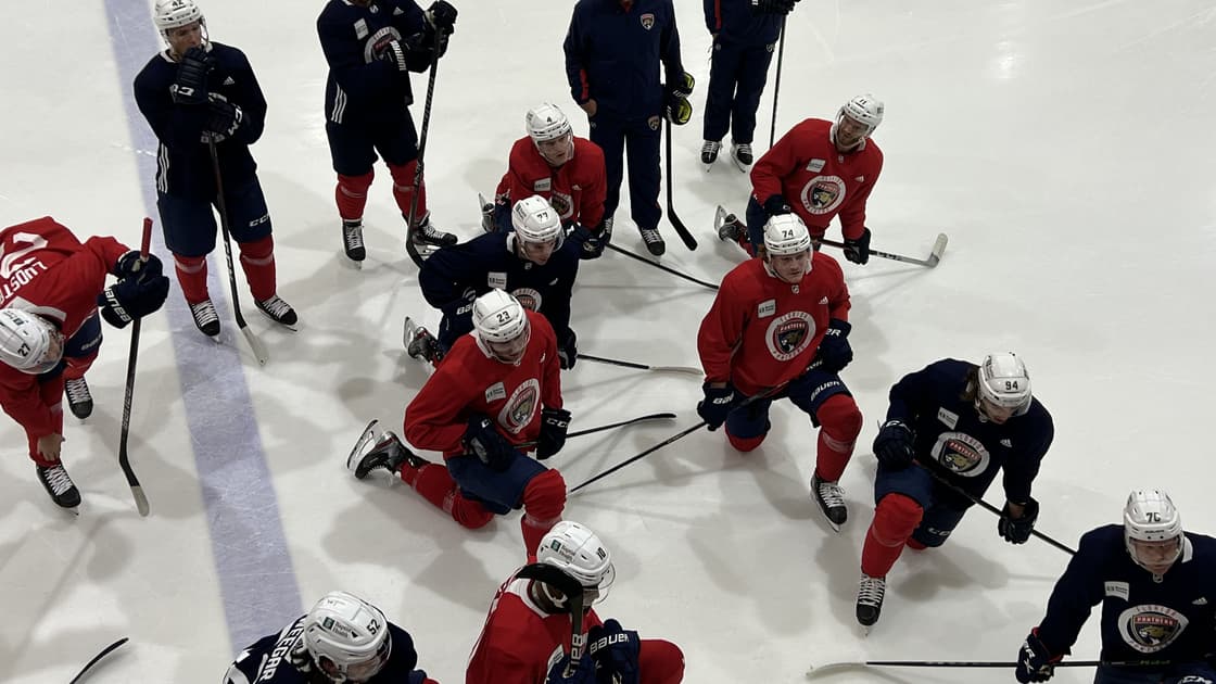 Florida panthers adversity
