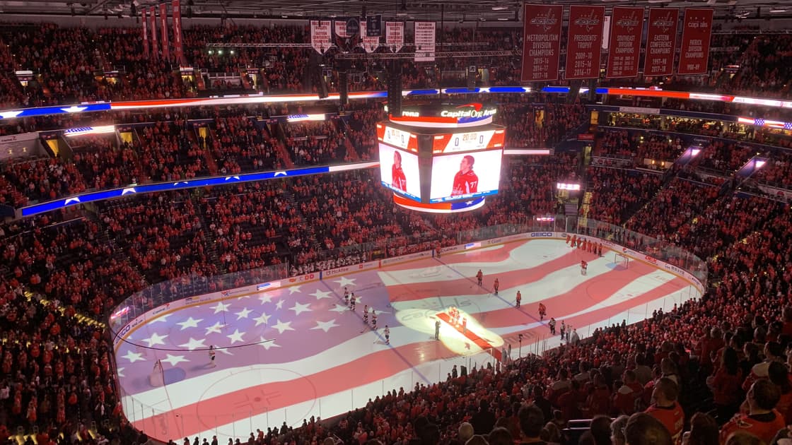 Capitals panthers
