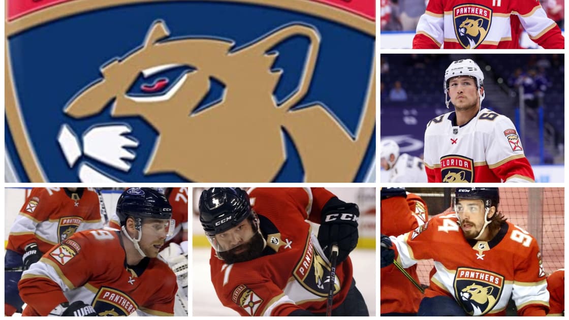 Florida panthers covid