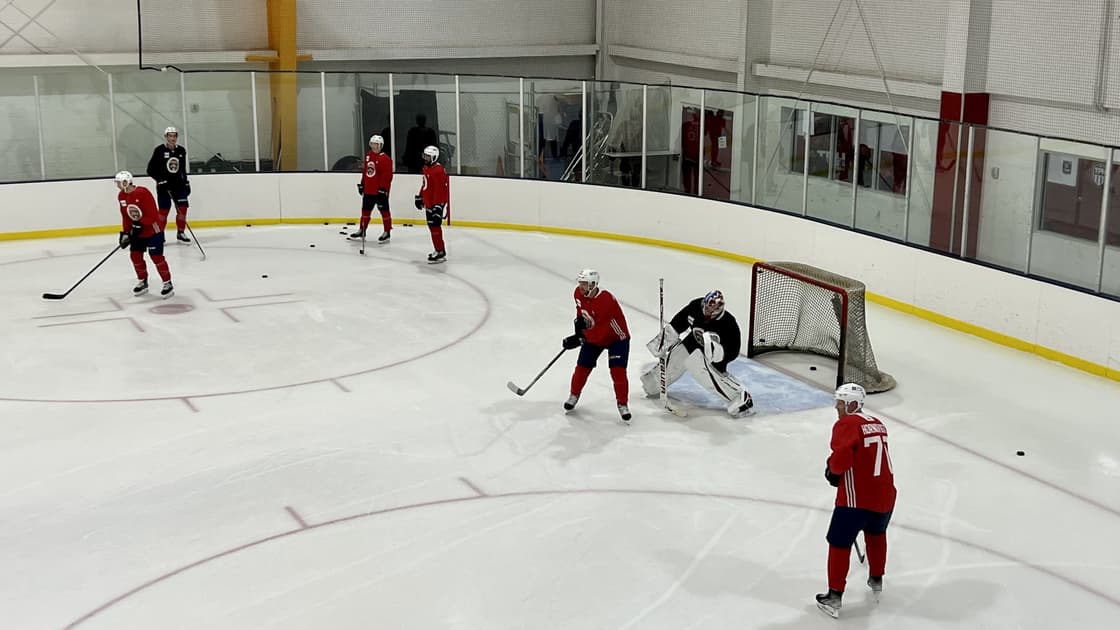 Florida panthers