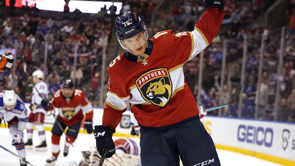 Florida panthers