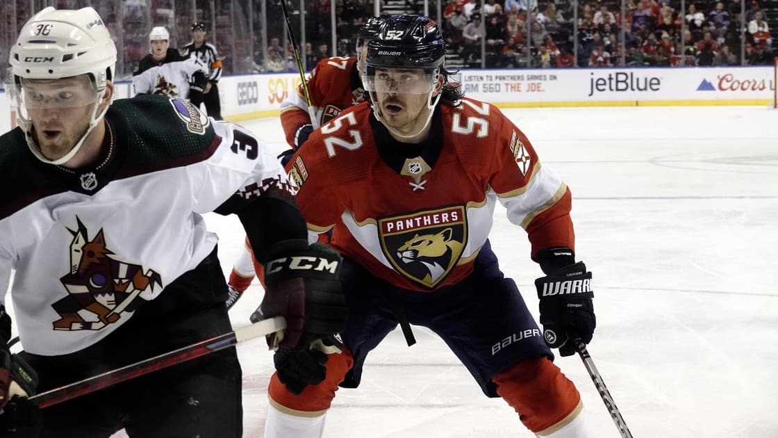 Panthers coyotes
