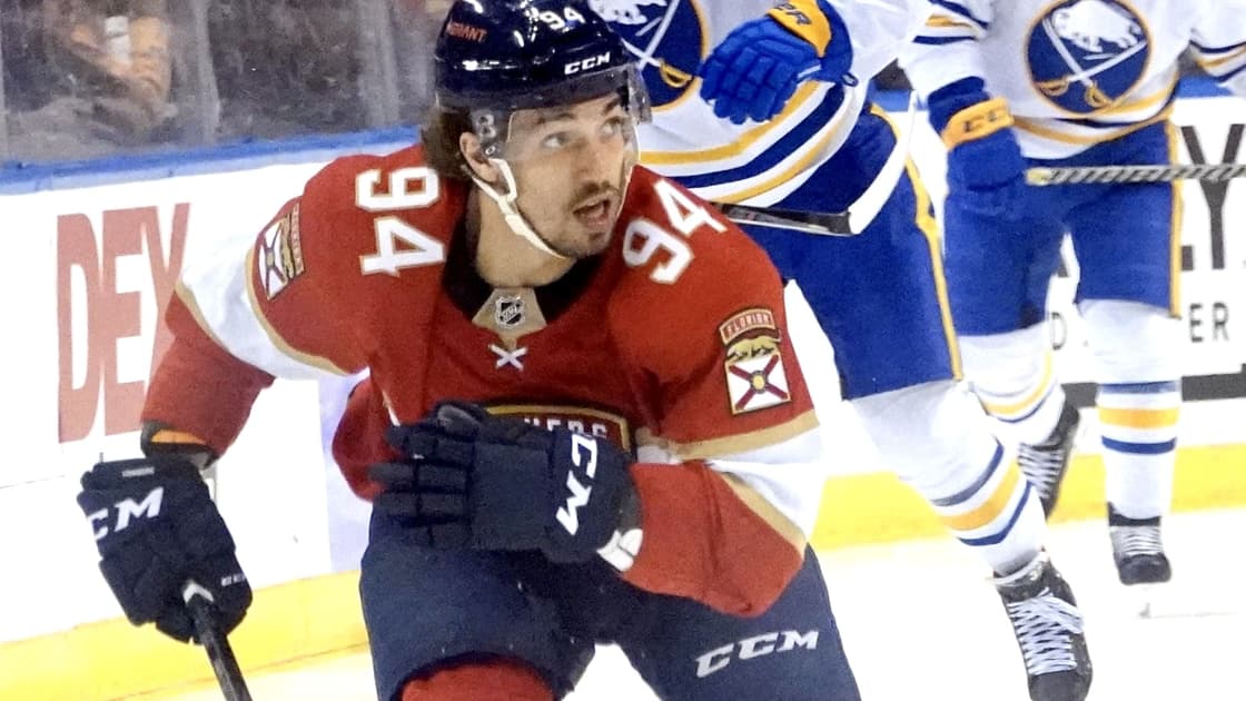 Florida panthers