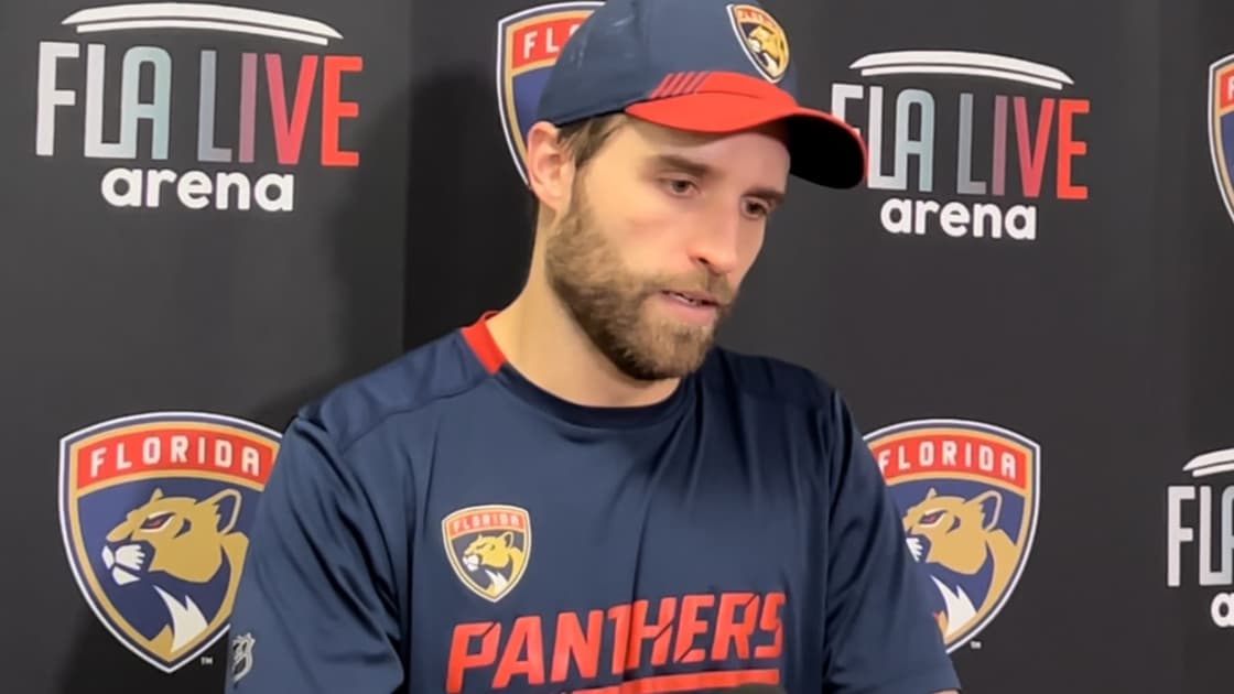 Florida panthers