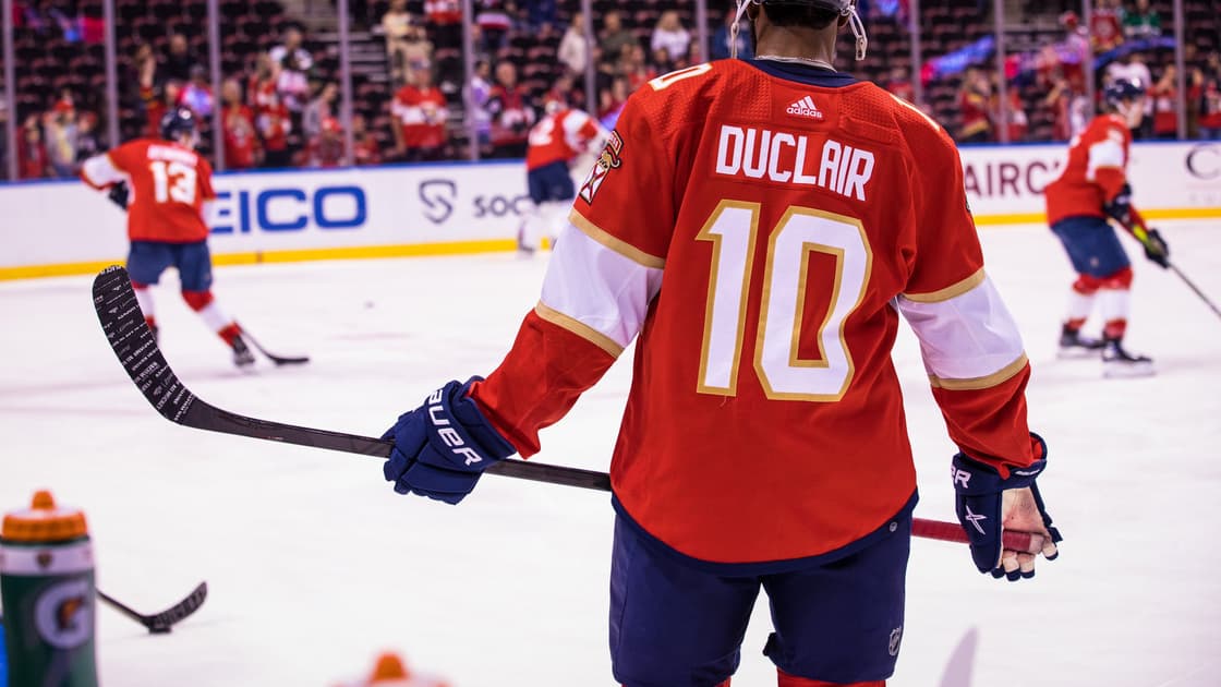 Florida panthers