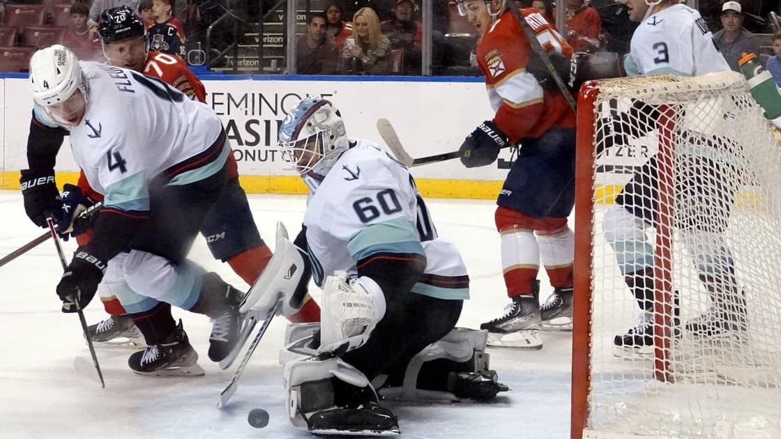 Florida panthers