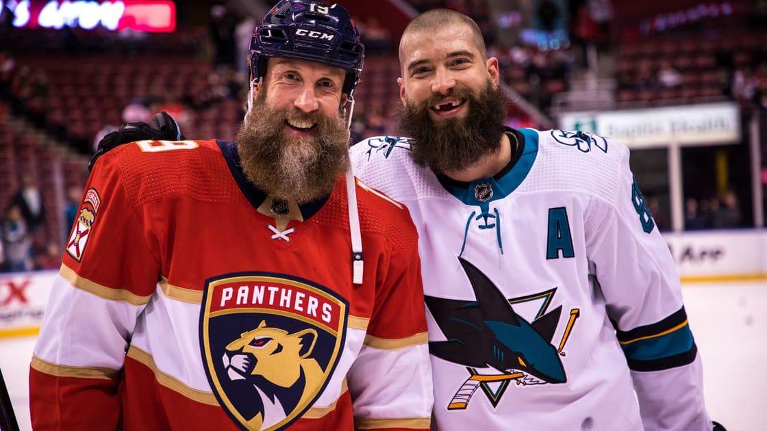 Florida panthers