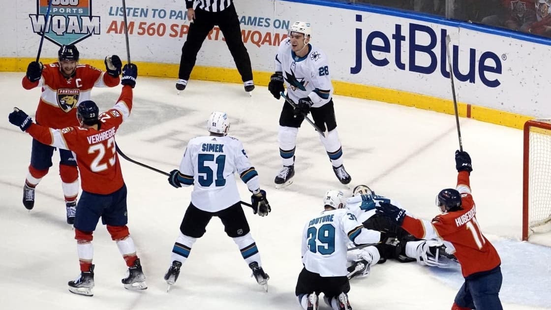 Florida panthers