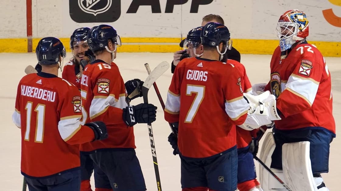 Florida panthers