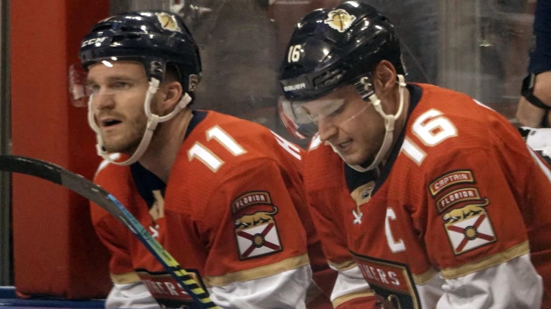 Florida panthers