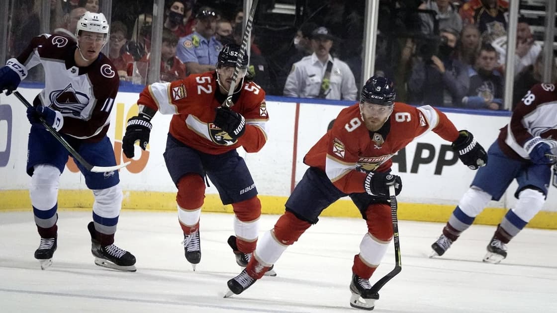 Florida panthers