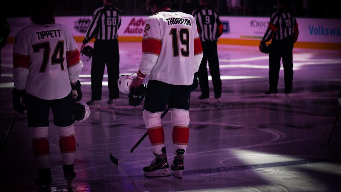 Stars panthers