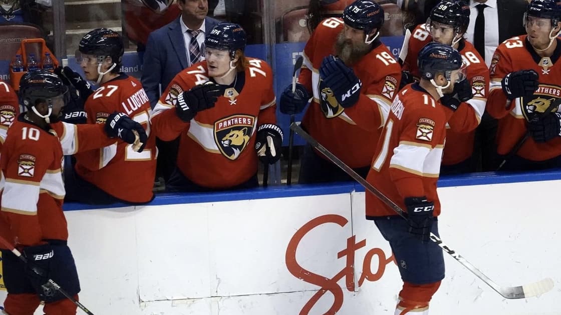 Hurricanes florida panthers