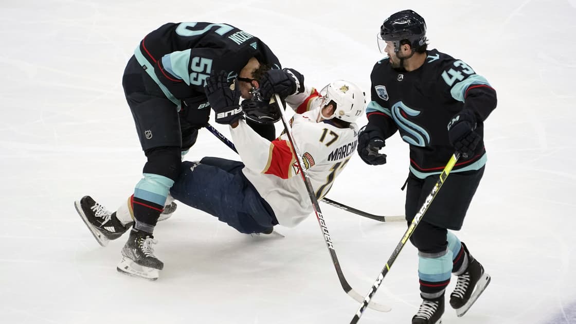 Florida panthers