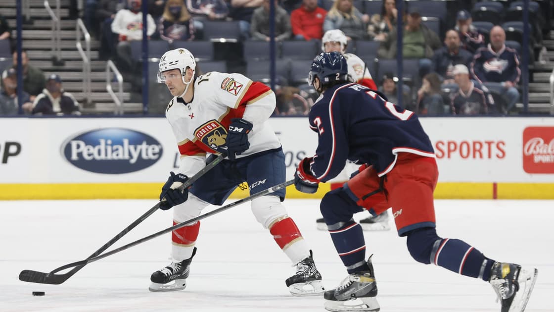 Florida panthers