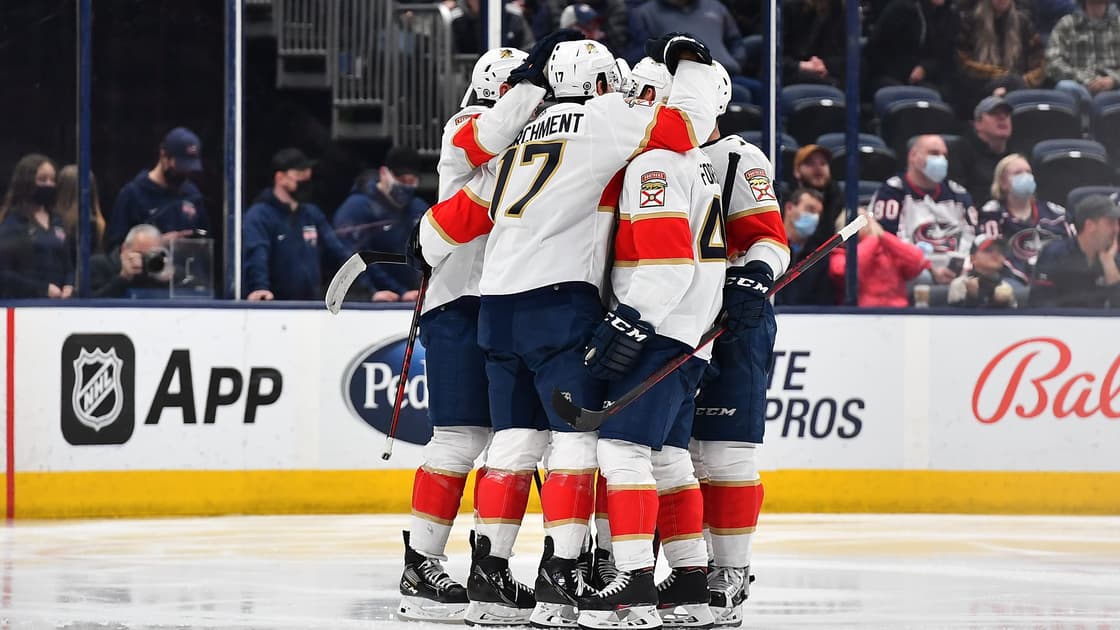 Florida panthers