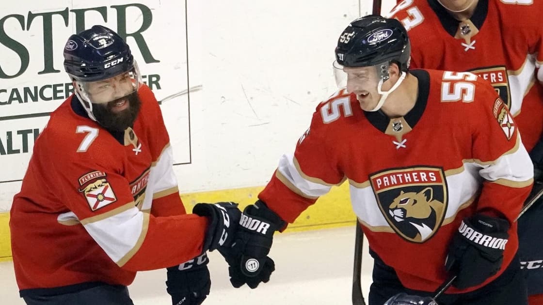 Florida panthers
