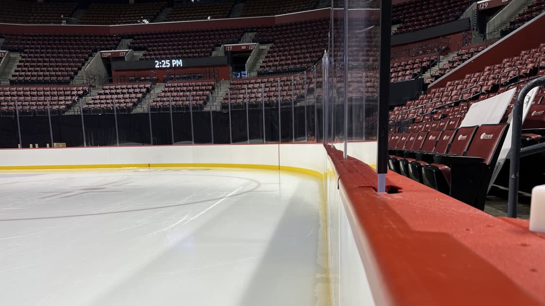 Florida panthers