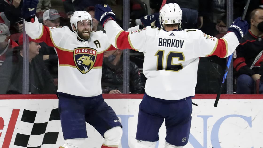 Florida panthers