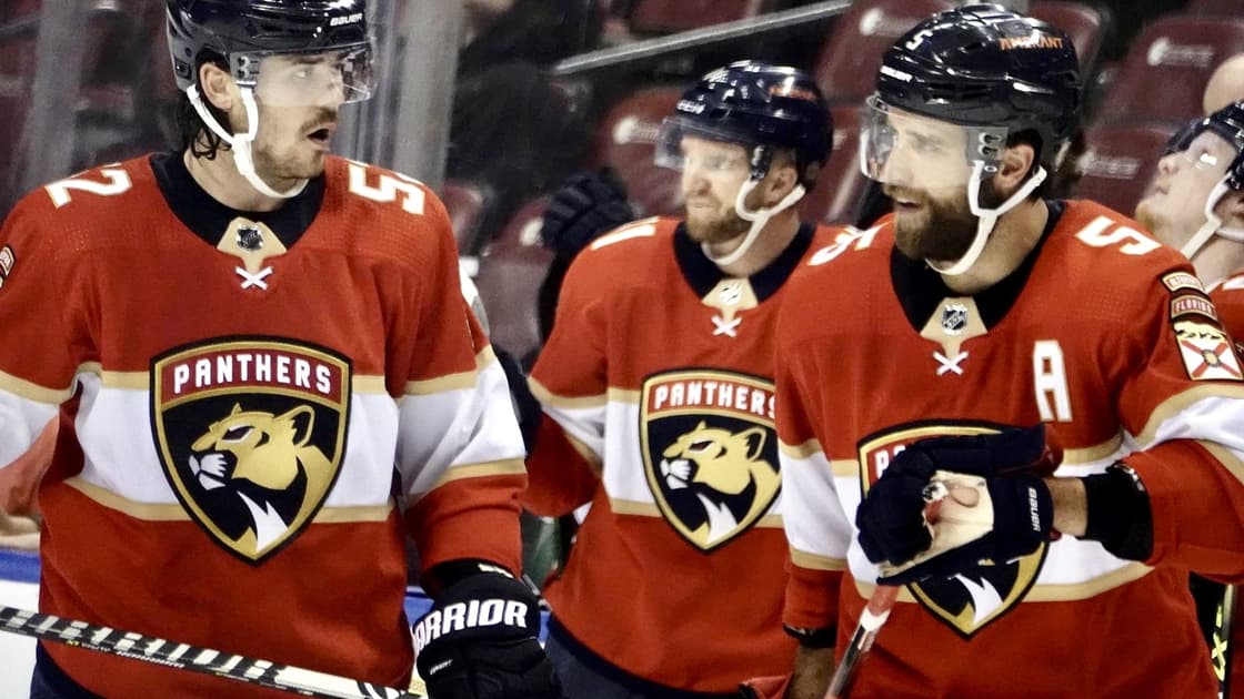 Florida panthers