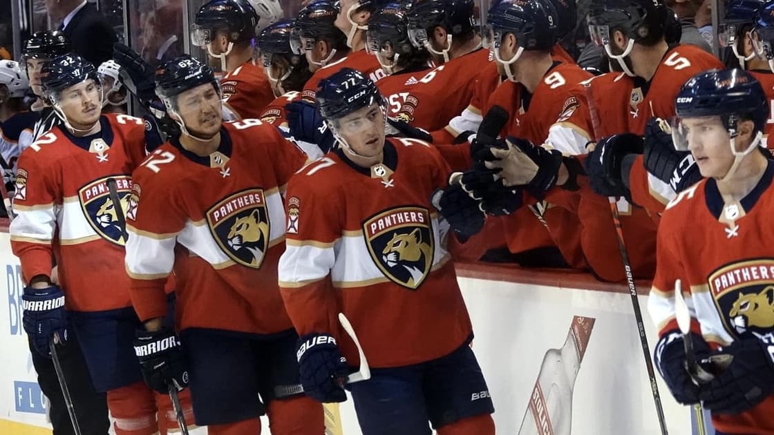 Florida panthers