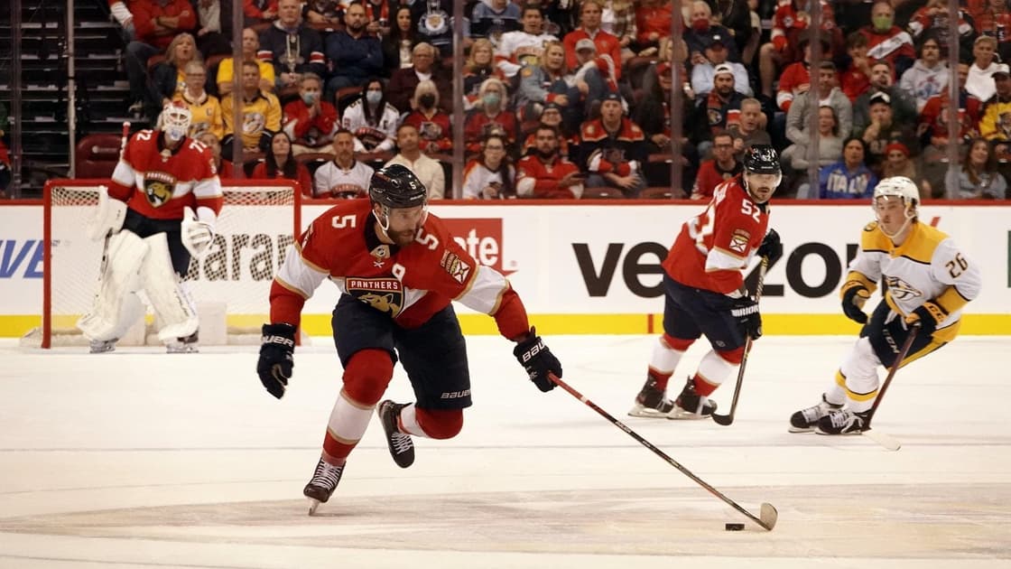 Florida panthers