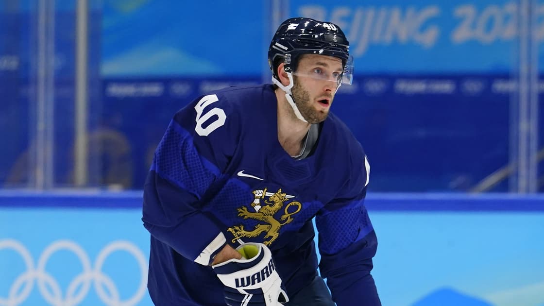Florida panthers
