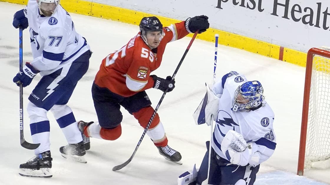florida panthers