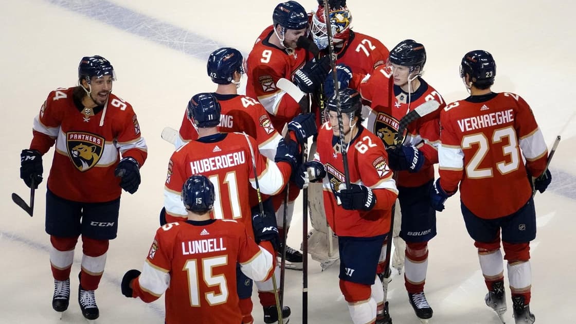 Florida panthers