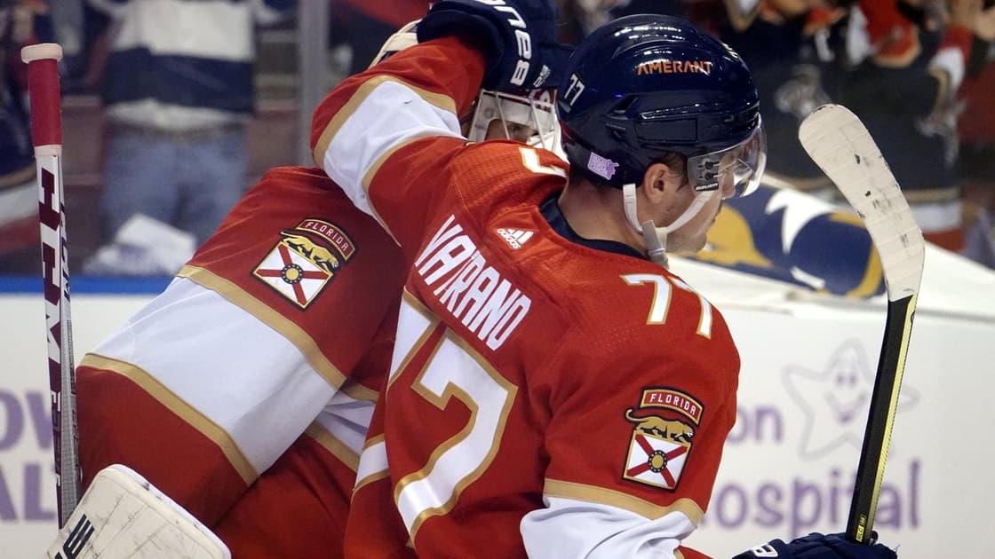 Florida panthers