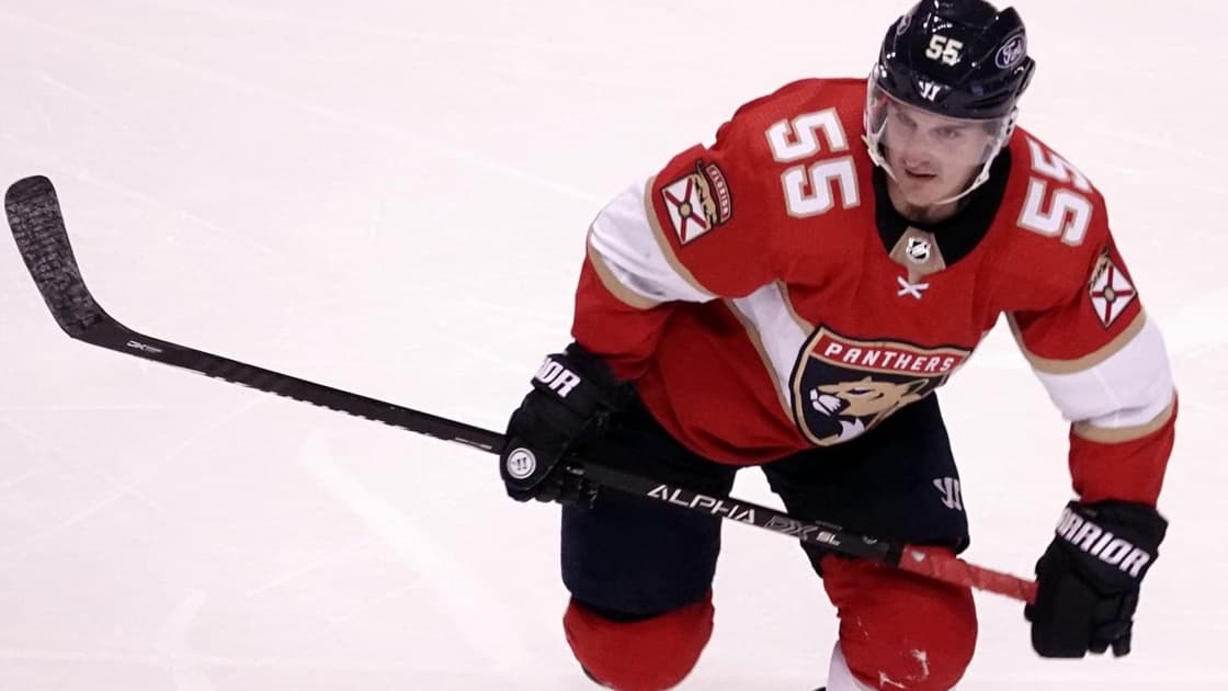 Florida panthers