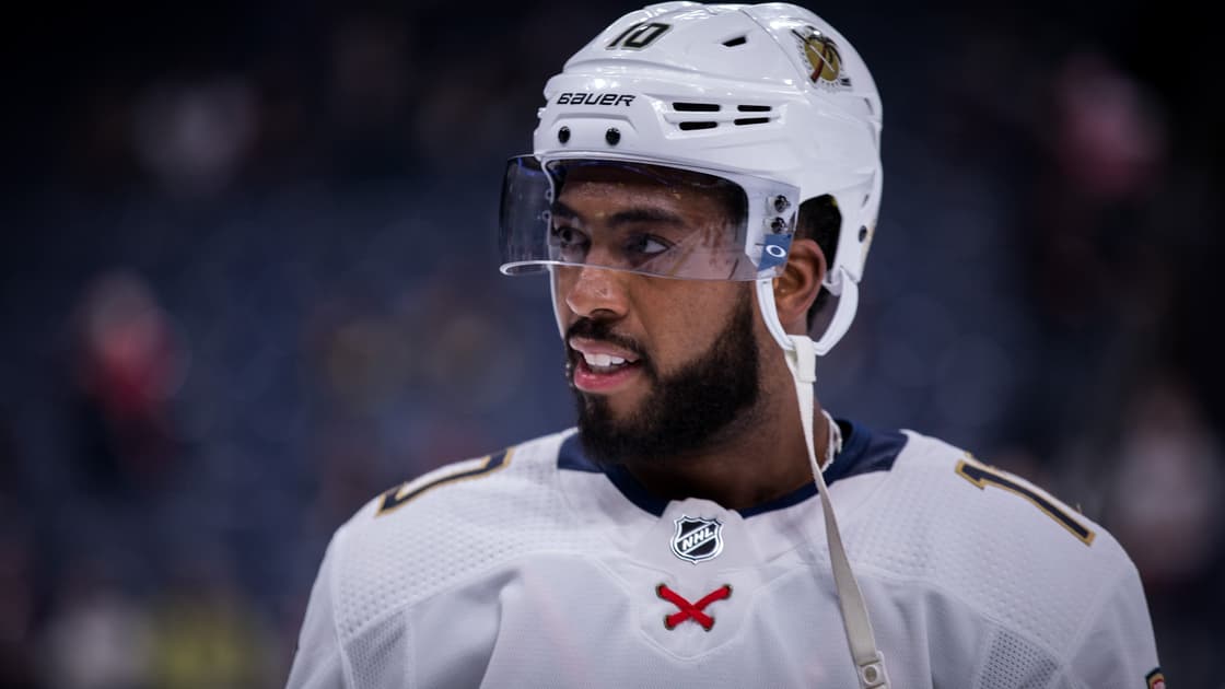 Florida panthers