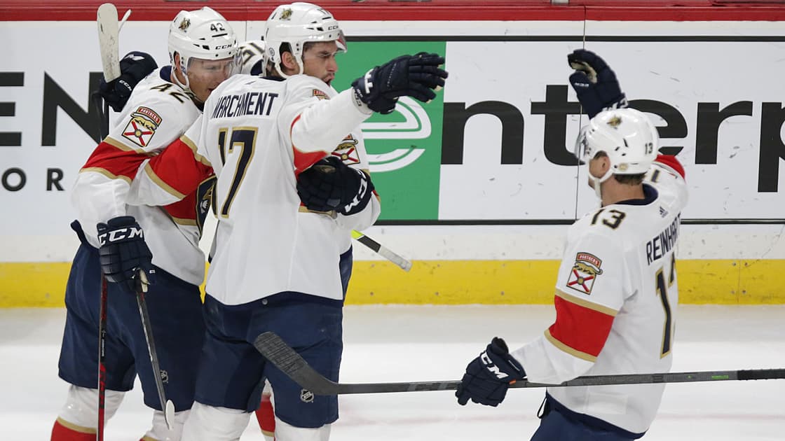 Florida panthers
