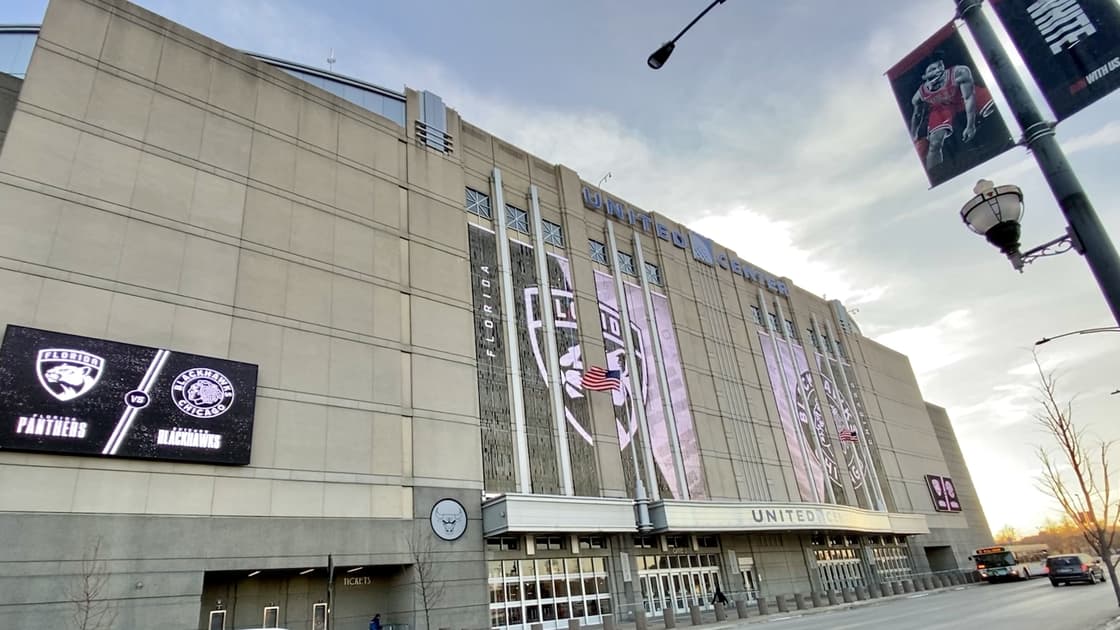 Florida panthers