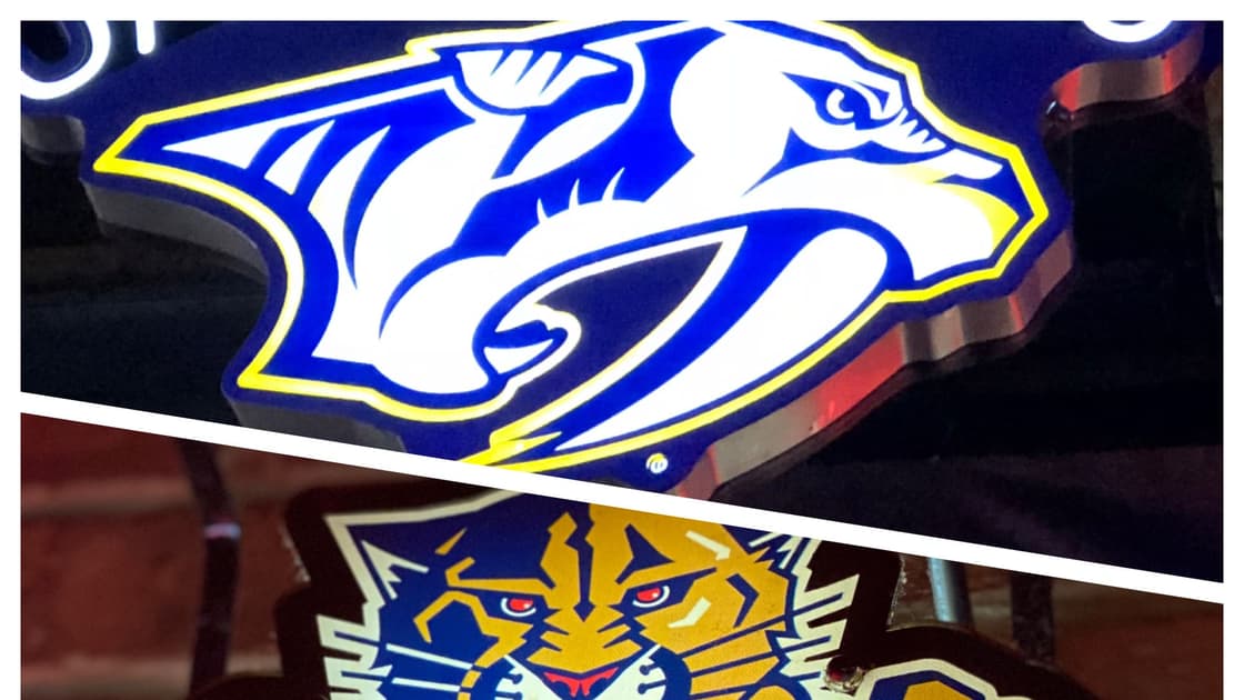 Florida panthers