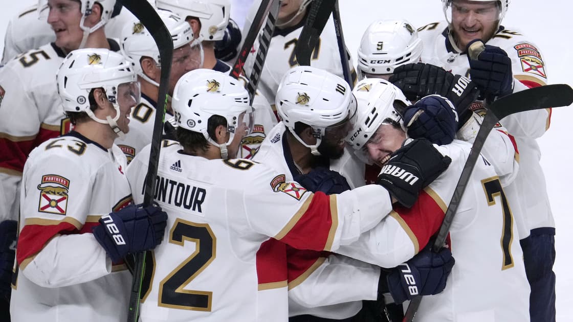 Florida panthers