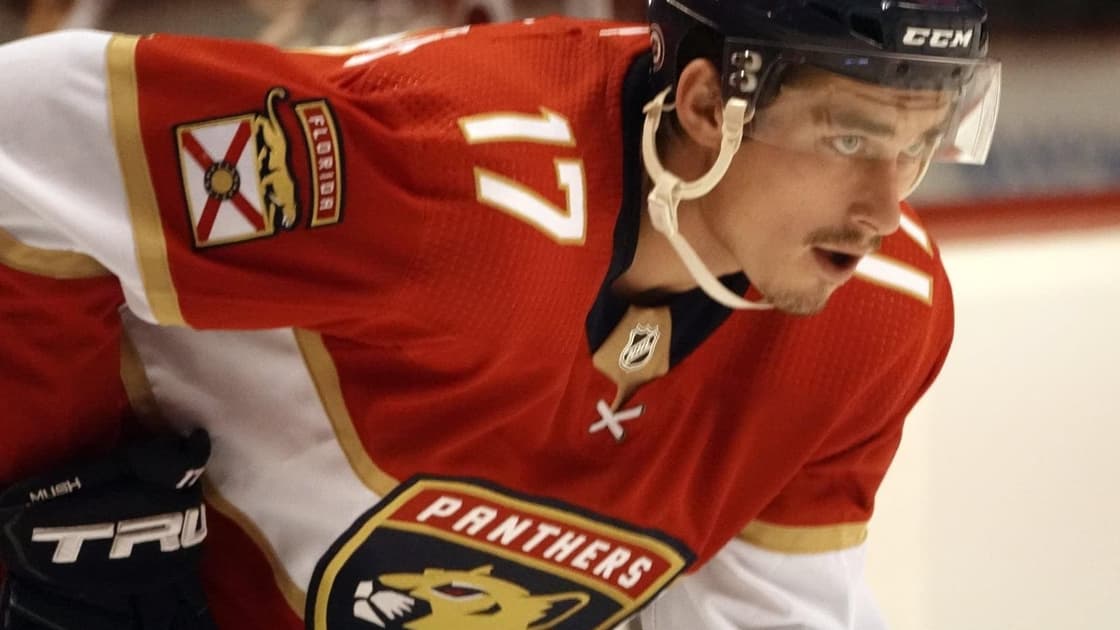 Florida panthers